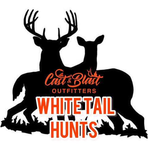 White Tail Hunts